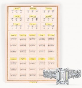 Magnetic Engagement  Rings Program
